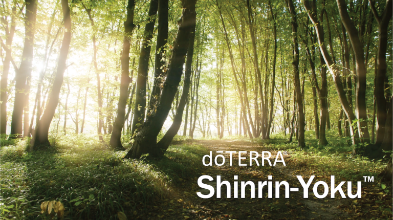 Курс dōTERRA Шинрин-Ёку. Искусство «Лесных ванн»